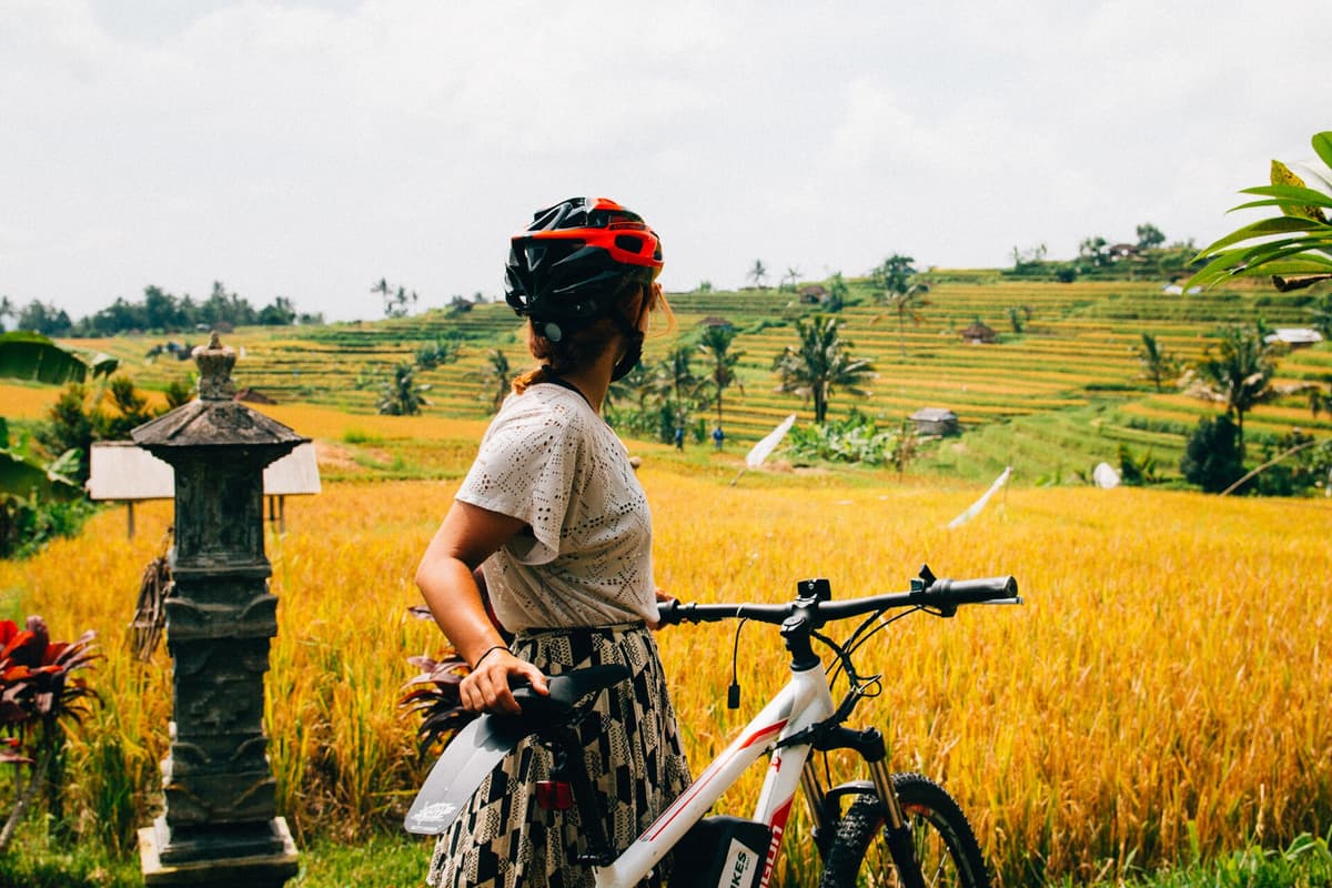 Cycling at Jatiluwih | Bali | Go Bali Visa Agency Cycling through harvest-time rice terraces at Jatiluwih, Bali