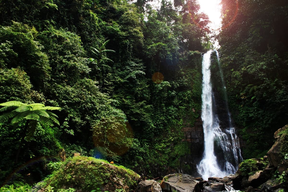 Gitgit Waterfall, North Bali | Bali | Go Bali Visa Agency Gitgit Waterfall cascading through tropical forest in North Bali