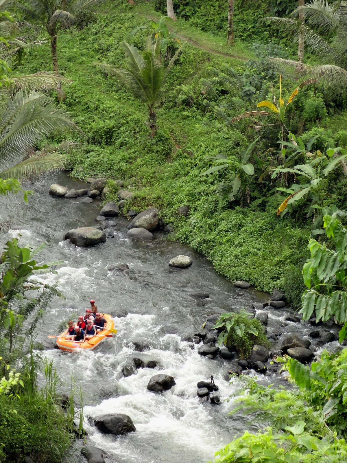 Rafting the Ayung River | Bali | Go Bali Visa Agency White-water rafting on the Ayung River through the jungle near Ubud, Bali