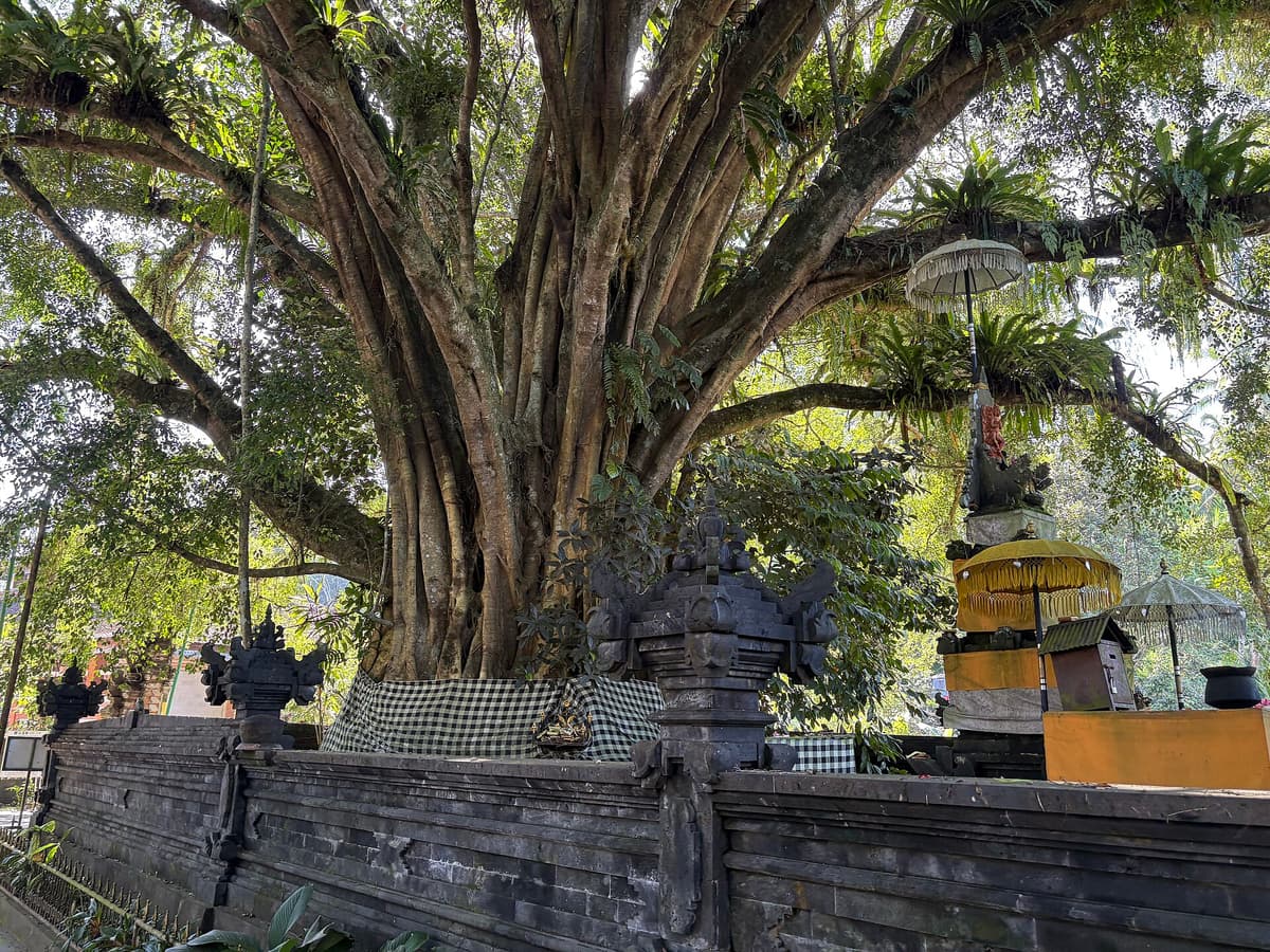 Tirta Empul Temple | Bali | Go Bali Visa Agency Worshippers at the holy spring pools of Pura Tirta Empul, Bali