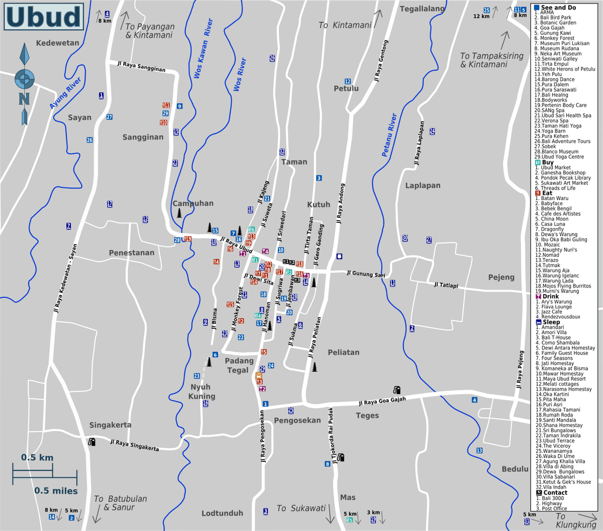 Ubud travel landscape | Bali | Go Bali Visa Agency Travel scene among tropical foliage and village paths in Ubud, Bali